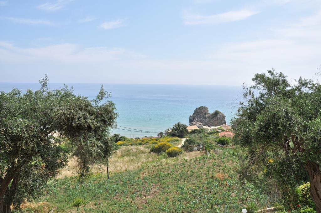 Lidovois House