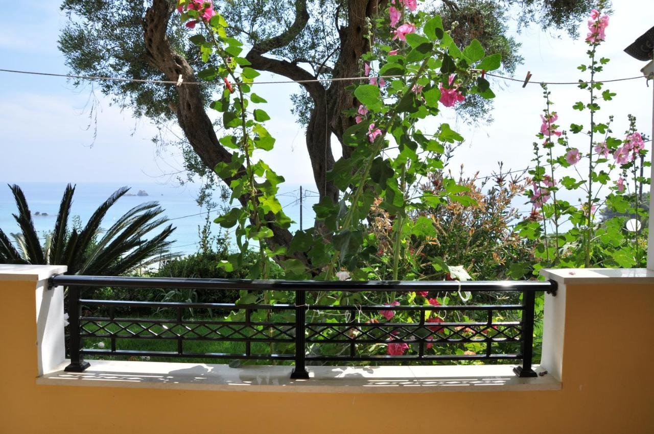 Lidovois House Apartment